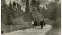 Quiz: America's Presidents: Theodore Roosevelt