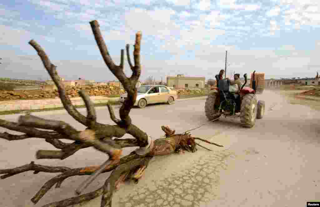 A farmer transports a tree which will be used for heating in the countryside of Idlib January 13, 2013.