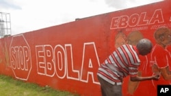 A local Liberian artist paints a mural forming part of the country's fight against the deadly Ebola virus by education in the city of Monrovia, Sept. 23, 2014. 