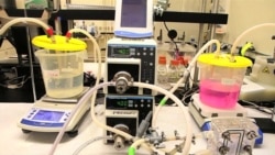 Nanotechnology Can Help Deliver Affordable, Clean Water