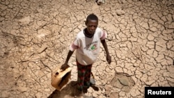 Somaliilaand Keessatti Beelli Sodaa Uumee Jira