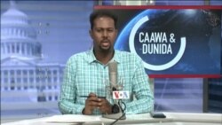 Caawa iyo Dunida