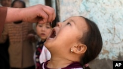 یو ماشوم ته د‌ پولیو واکسین ورکول کیږي