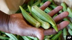 Okra