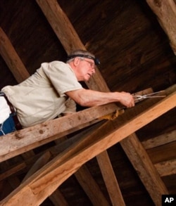 Tom Kunz trapping bats in Framingham, Mass.