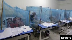 FILE - A woman holds her son, suffering from dengue fever, as she sits under a mosquito net inside a dengue ward of a local hospital in Rawalpindi, Pakistan.