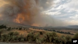 FILE - In this image provided by the U.S. Department of Agriculture Forest Service, smoke rises from a wildfire on July 22, 2024, near Durkee, Ore. 
