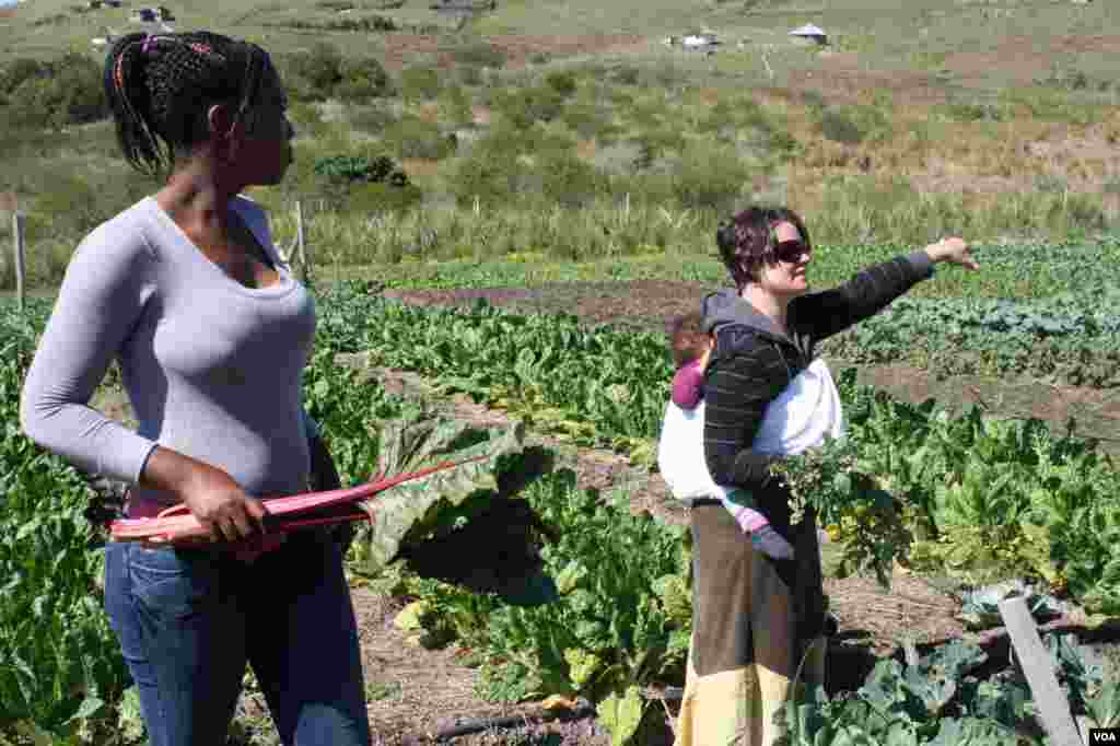 The home&rsquo;s director, Alex Gunther, gives instructions to caregivers and patients as the day&rsquo;s harvest begins on Ikhaya Loxolo&rsquo;s farm (VOA/Taylor) 