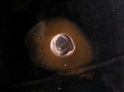 Merkuri dibilas dalam panci emas untuk mengumpulkan emas dari tanah di sebuah lokasi penambangan, 4 April 2019. (Foto: Reuters)