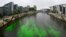 A section of the River Spree next to the Reichstag building, seat of the German lower house of Parliament Bundestag, is colored green by activists from the &quot;Extinction Rebellion&quot; to protest the government&#39;s coal policies in Berlin.