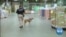 Use of Canine Units Expands in US Airports to Protect Against Possible Terrorist Attacks 