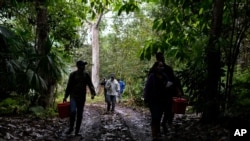 Científicos caminan con los lugareños mientras recolectan muestras de plantas para extraer su ADN como parte del proyecto Barcode Galápagos en la isla de San Cristóbal, Galápagos, Ecuador, el viernes 20 de agosto de 2021.