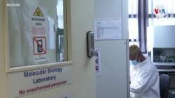 Todo lo que se sabe sobre la variante ómicron hasta ahora