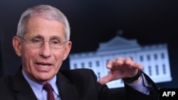 In this file photo, Director of the National Institute of Allergy and Infectious Diseases Anthony Fauci speaks during an unscheduled briefing after a Coronavirus Task Force meeting at the White House on April 5, 2020, in Washington.