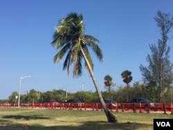 海湖庄园一边是沃尔斯湖，这是湖边的沙滩 (美国之音杨晨拍摄)