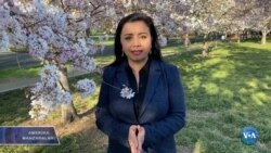 Amerika Manzaralari: Demokratiya, Afg'oniston, uyg'urlar