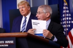 FILE - President Trump listens as Director of the National Institute of Allergy and Infectious Diseases Dr. Anthony Fauci speaks during a coronavirus task force briefing at the White House, April 5, 2020, in Washington.