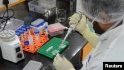 FILE - A research scientist works inside a laboratory of India's Serum Institute, the world's largest maker of vaccines, which is working on vaccines against COVID-19 in Pune, India, May 18, 2020. 