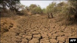 Tỉnh Sơn Đông đối mặt với nạn hạn hán nghiêm trọng nhất trong vòng 2 thế kỷ