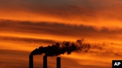 FILE - A flock of Geese fly past the smokestacks at the Jeffrey Energy Center coal power plant as the suns sets near Emmett, Kan. 