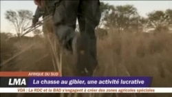 La chasse au gibier, une activité lucrative
