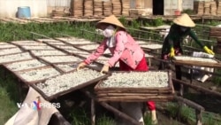 Nghề phơi cá làm khô ở Cà Mau