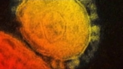 Hospitals Watch Diseases, Plan For Emergencies