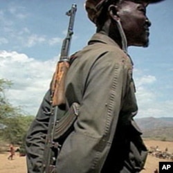 An armed pastoralist watches over his herd with his rifle - the weapon of choice among herders - slung over his shoulder, Aug 2010