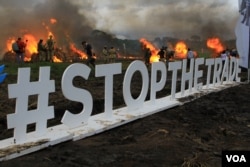 The Twitter hashtag “#stopthetrade is displayed at Kenya’s ivory burn in Nairobi National Park, April 30, 2016. (J. Craig/VOA)