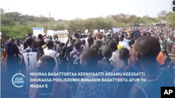  Mooraa Baqattootaa Keeniyaatti Argamu Keessatti Dhukaasa Poolisoonni Bananiin Baqattoota Afur tu Madaa'e 