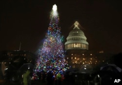 The Capitol Christmas Tree is a nearly 80-foot Engelmann Spruce from the Payette National Forest in Idaho. It's pictured Dec. 6, 2016.