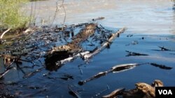 El derrame cubrió decenas de millas en el río Yellowstone.