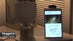 Who is Your Smarthome Talking To?