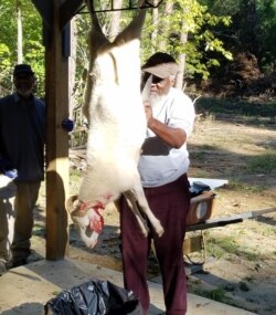Abdus Sabur mengajarkan bagaimana memotong hewan kurban sesuai ajaran Islam (foto: courtesy).