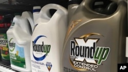 FILE - Containers of Roundup are displayed on a store shelf in San Francisco, February 24, 2019.