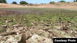 The food and nutrition crisis facing countries in West Africa’s drought-prone Sahel region deteriorated at an alarming rate in March 2012. (IAEA)