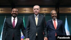 Xasan Sheekh, Erdogan iyo Abiy Ahmed