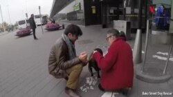 “Küçə itlərinin öldürülməsi problemin həlli deyil”