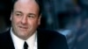 'Bố già' phim 'The Sopranos' James Gandolfini qua đời