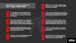 Infographic on AR-15 Gun