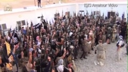 Experts See Rise of ISIS as Significant Development