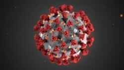 Ilustración de cómo es el coronavirus que fue detectado por primera vez en Wuhan, China.