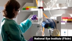 Фото: Національний інститут дослідження ока