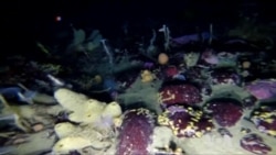 Mapping the Oceans' Floors by 2030