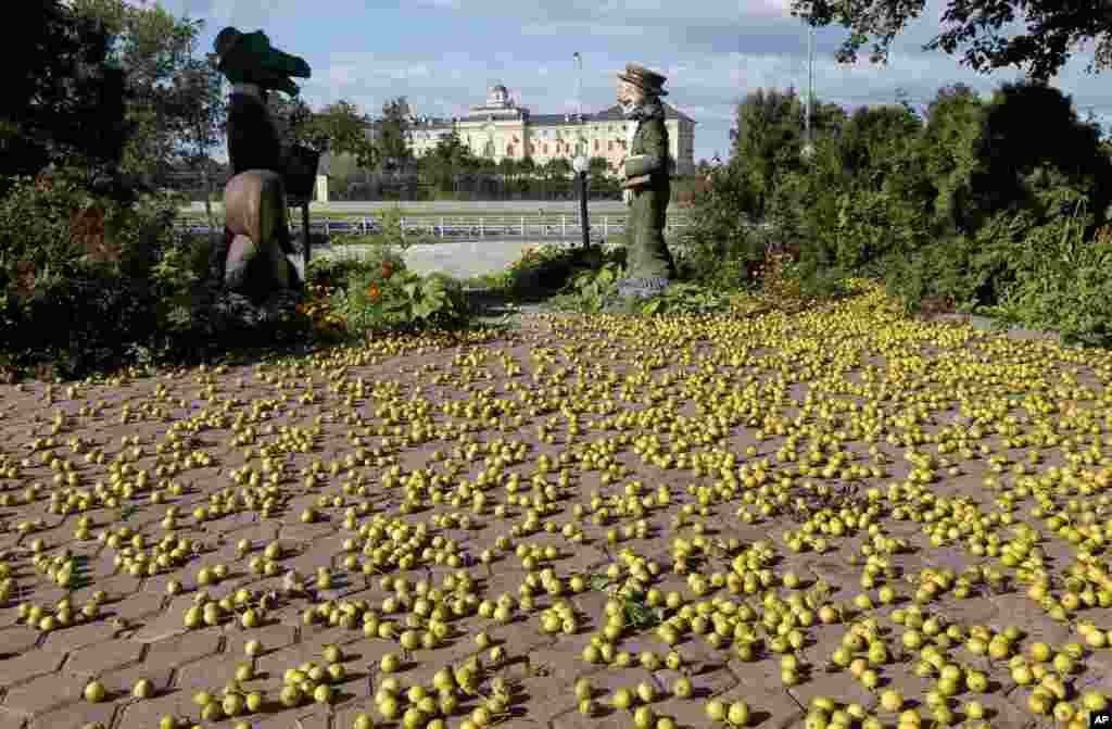 Apples are seen on the ground next to statues across the street from the Constantine Palace, the venue for a G20 meeting in St. Petersburg, Sept. 4, 2013. 