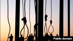 نایجریا و مصر عامل افزایش اعدام در جهان خوانده شده اند