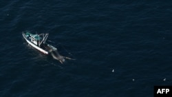 An aerial photograph shows a fishing boat off the coast of Tokyo, Dec. 16, 2019. Five Japanese fishing vessels were seized by Russia on Dec. 18, 2019.