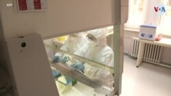 El bien común es su misión