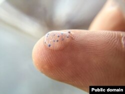 Microbeads seen on a finger. They are so small they are not caught by waste water treatment plants and end up in the ocean.