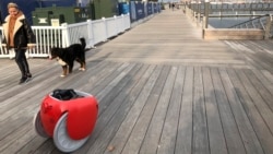 A pedestrian and her dog walk along a boardwalk near the Gita cargo-carrying robot on Monday, Nov. 11, 2019, in Boston. A subsidiary of Italian automaker Piaggio designed the machine to follow its owner lugging groceries and other items. (AP Photo / Matt O'Brien)